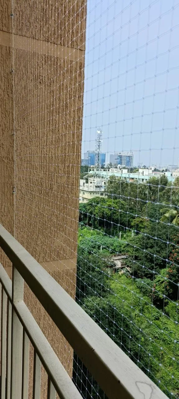 Bird net fitted along a balcony wall with a view of trees and offices
