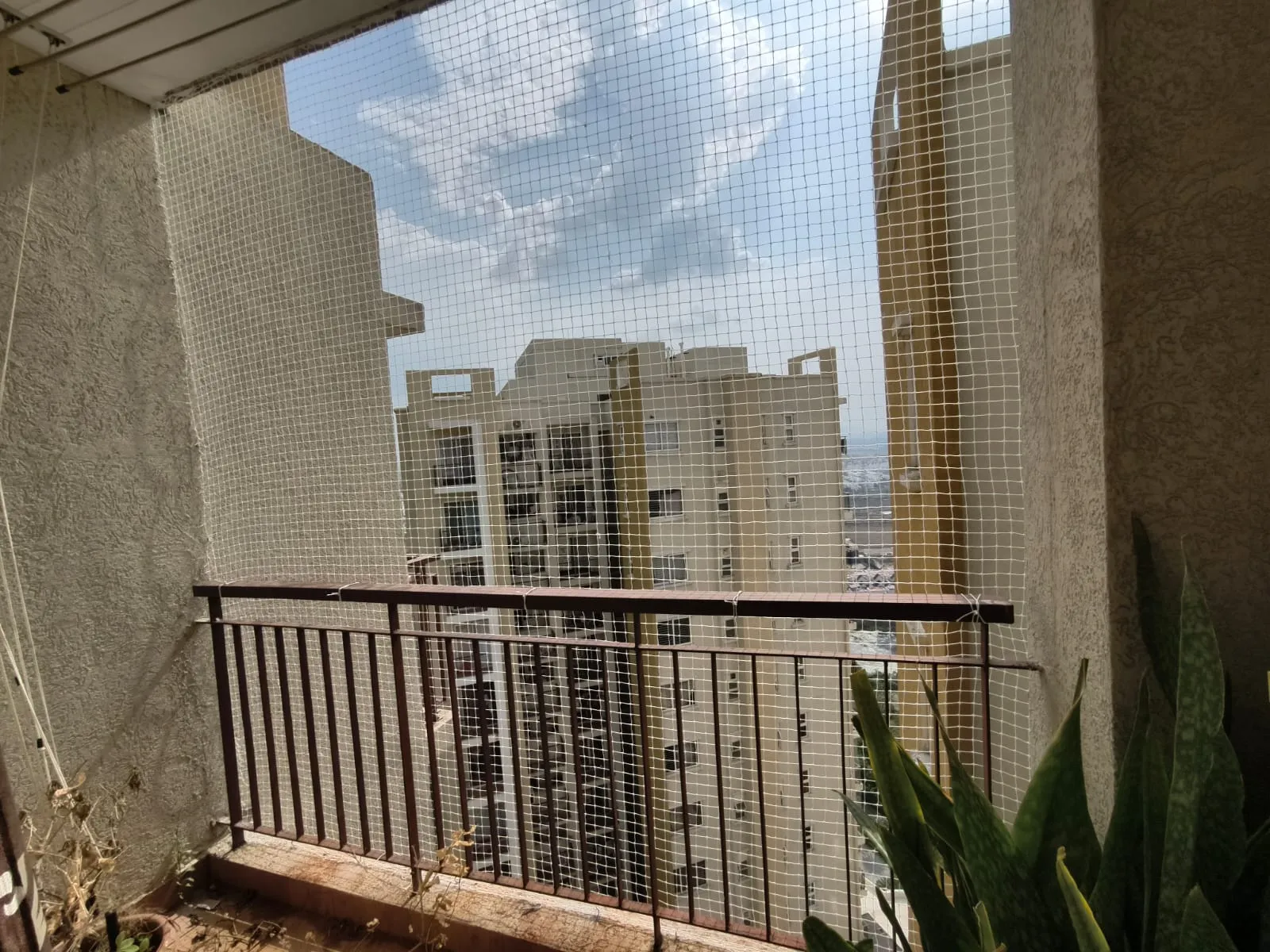 Pigeon net installed across a wide balcony facing neighbouring apartment blocks