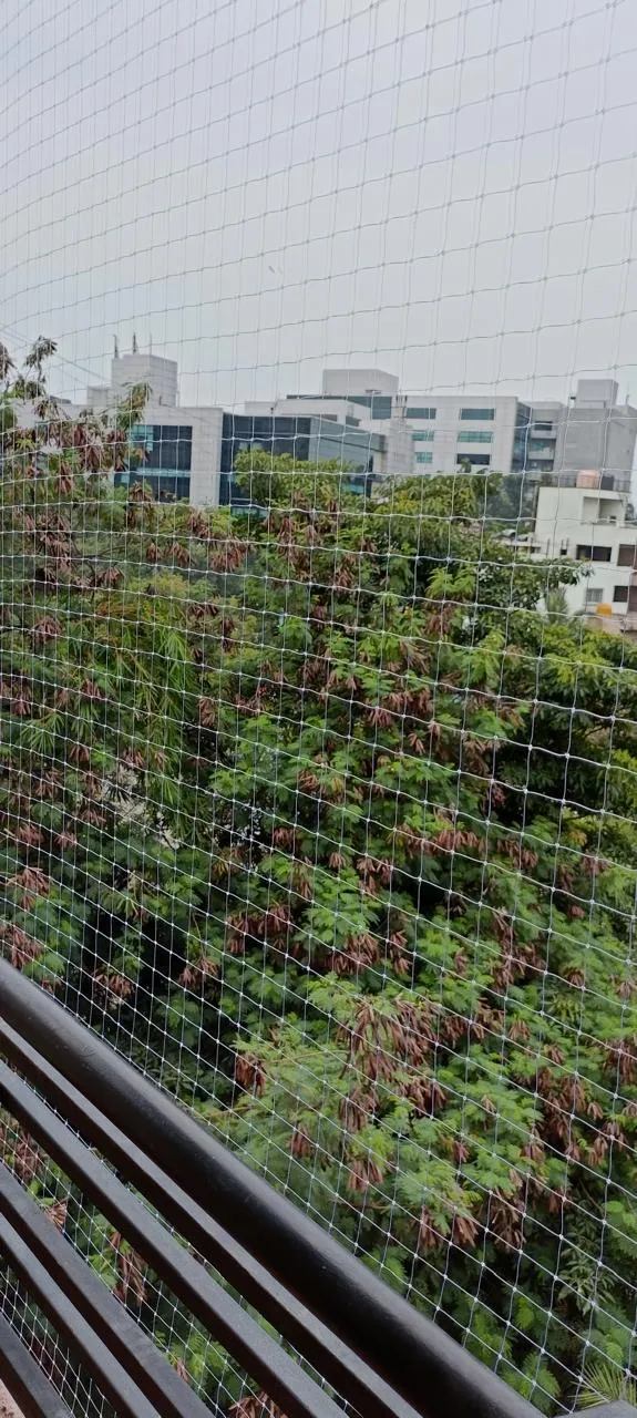 Pigeon net across a balcony opening facing dense greenery and city buildings